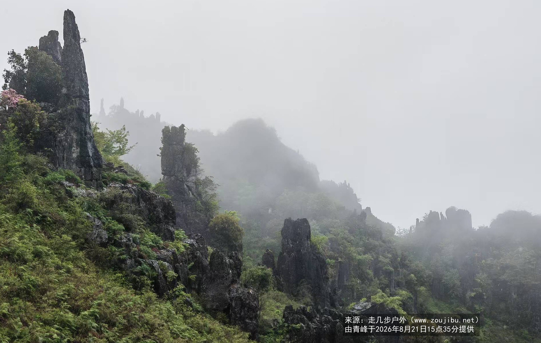 活动风采照片
